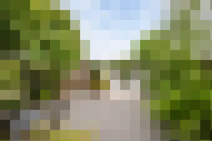 Bloemenlaan 184 Sint-Maartensdijk thumbnail 4