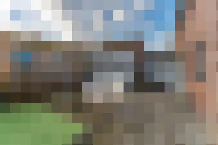 Bloemenlaan 37 Vlissingen thumbnail 17