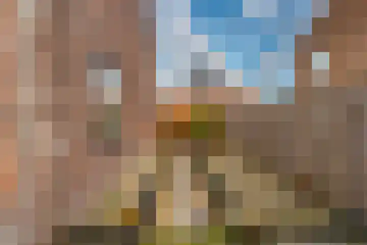 Bloemenlaan 37 Vlissingen thumbnail 18