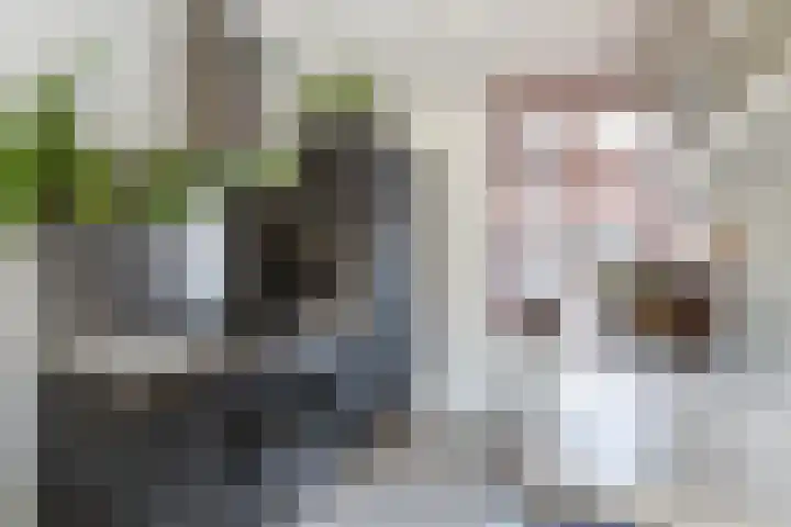 Bloemenlaan 61 Rotterdam thumbnail 10