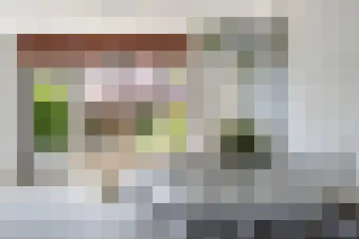 Bloemenlaan 61 Rotterdam thumbnail 14
