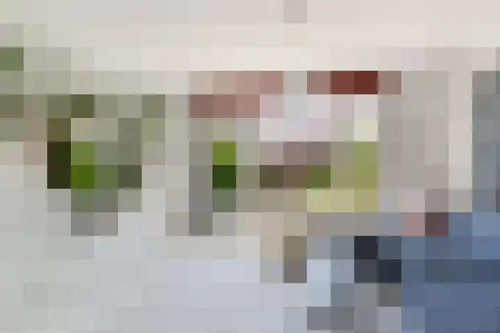 Bloemenlaan 61 Rotterdam thumbnail 17