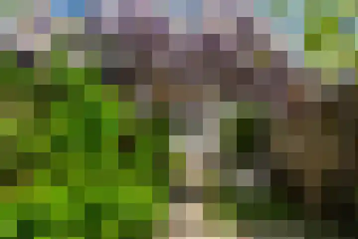 Bloemenlaan 61 Rotterdam thumbnail 18