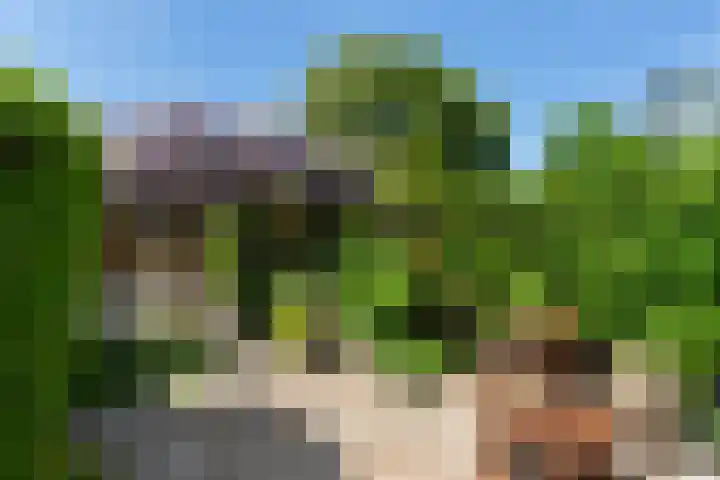 Bloemenlaan 61 Rotterdam thumbnail 19