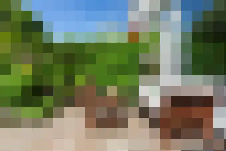 Bloemenlaan 61 Rotterdam thumbnail 20