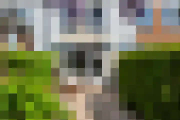 Bloemenlaan 61 Rotterdam thumbnail 21