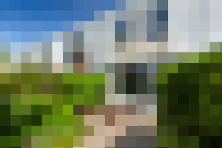Bloemenlaan 61 Rotterdam thumbnail 22