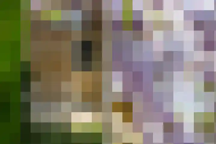 Bloemenlaan 61 Rotterdam thumbnail 23