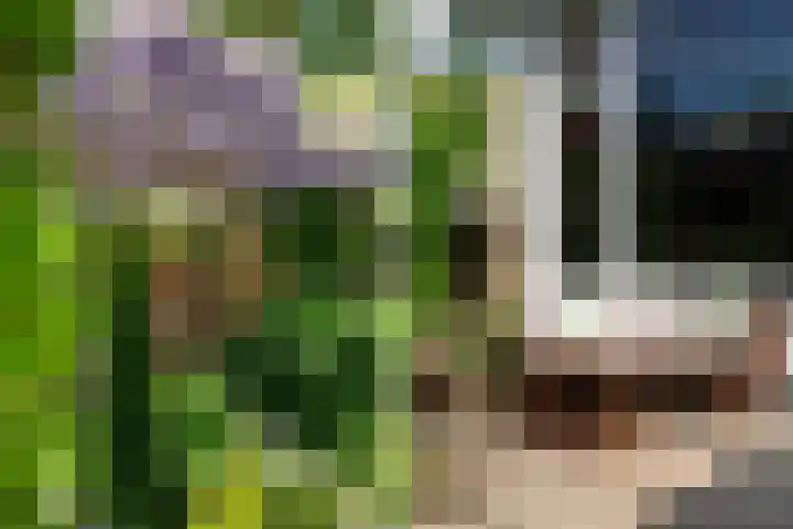 Bloemenlaan 61 Rotterdam thumbnail 24