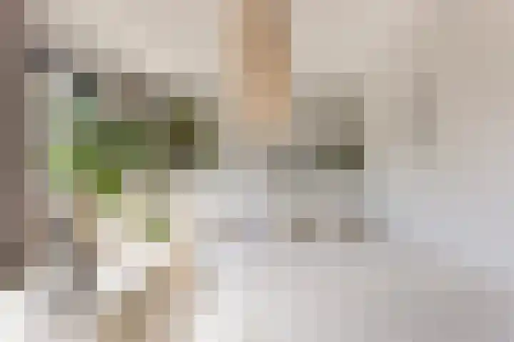 Bloemenlaan 61 Rotterdam thumbnail 27