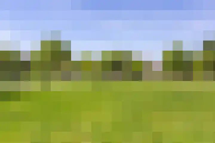Bloemenlaan 61 Rotterdam thumbnail 36