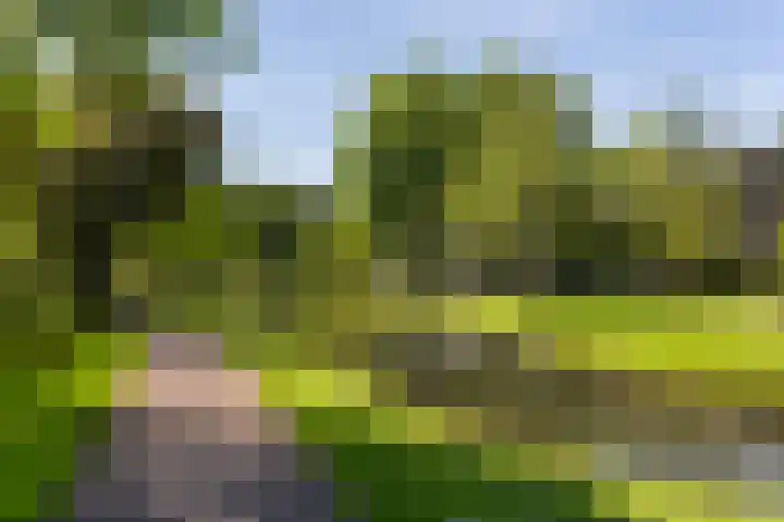 Bloemenlaan 61 Rotterdam thumbnail 37