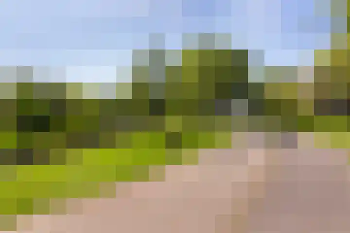 Bloemenlaan 61 Rotterdam thumbnail 38