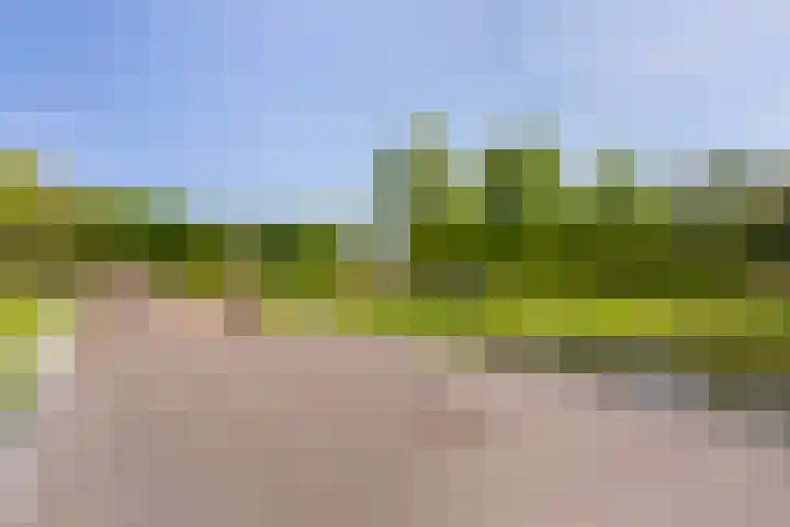 Bloemenlaan 61 Rotterdam thumbnail 39