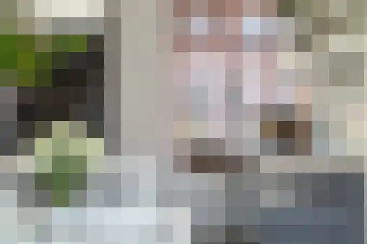 Bloemenlaan 61 Rotterdam thumbnail 8