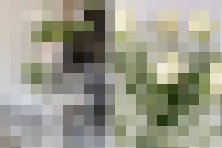 Bloemenlaan 61 Rotterdam thumbnail 9