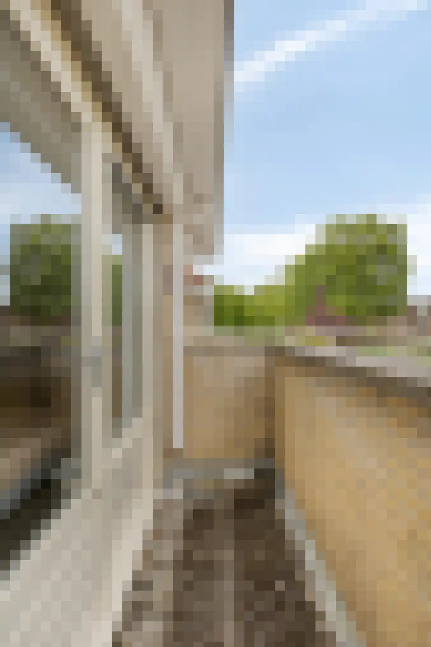 Bloemenlaan 62 Hoogerheide thumbnail 32