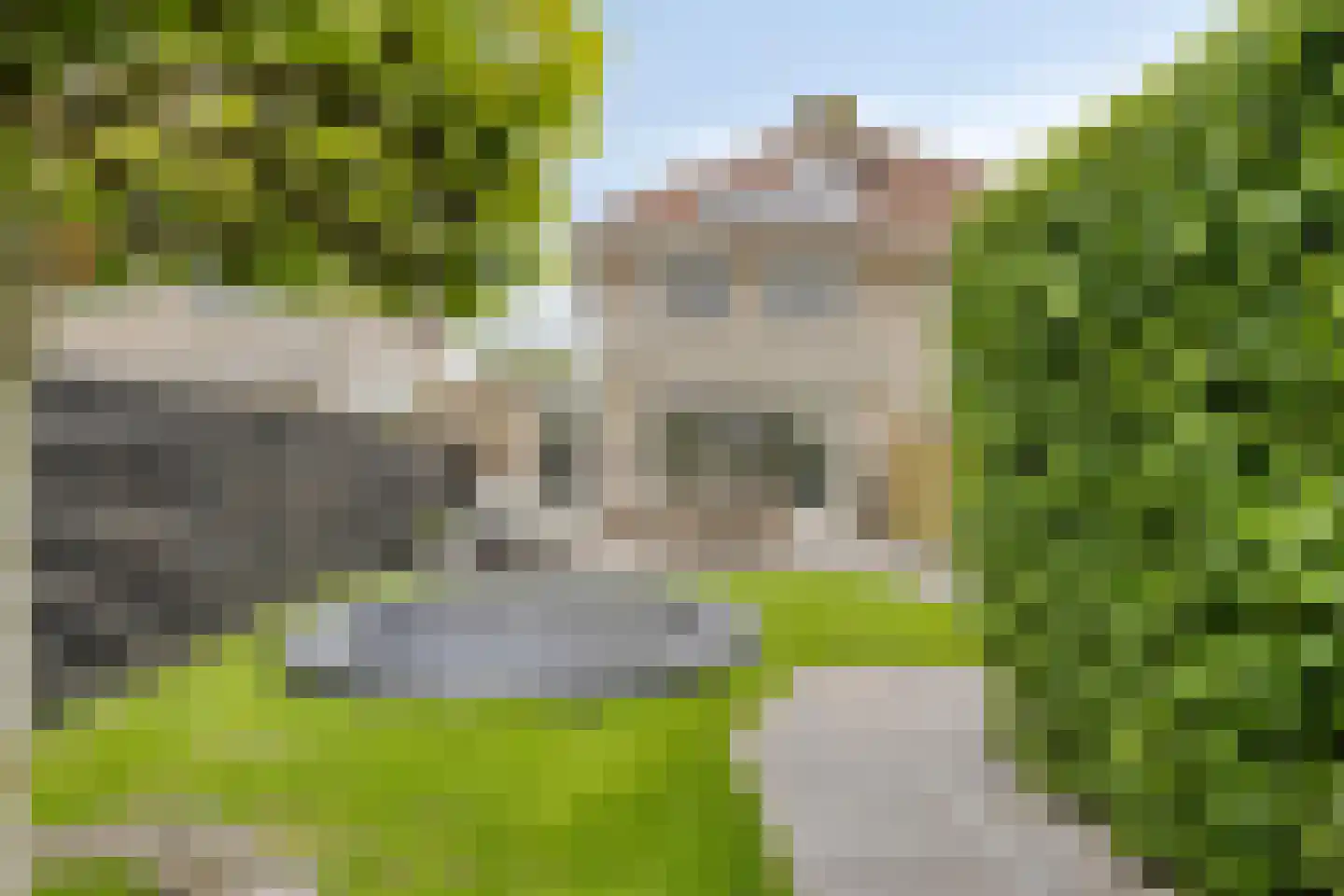 Bloemenlaan 62 Hoogerheide thumbnail 47