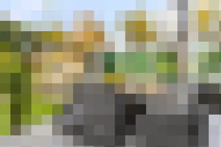 Bloemenlaan 71 Rotterdam thumbnail 15