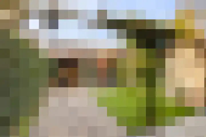 Bloemenlaan 71 Rotterdam thumbnail 16