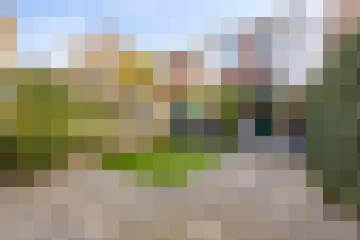 Bloemenlaan 71 Rotterdam thumbnail 17