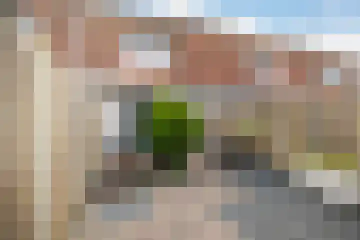 Bloemenlaan 73 Sint-Maartensdijk thumbnail 31