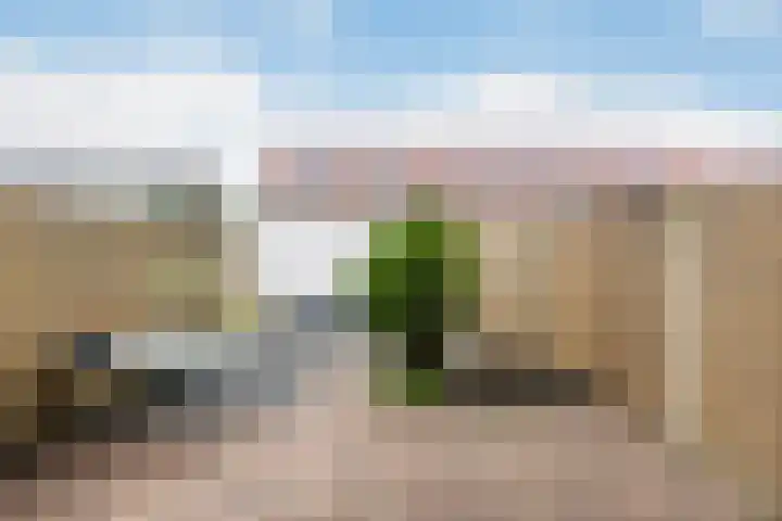 Bloemenlaan 73 Sint-Maartensdijk thumbnail 5