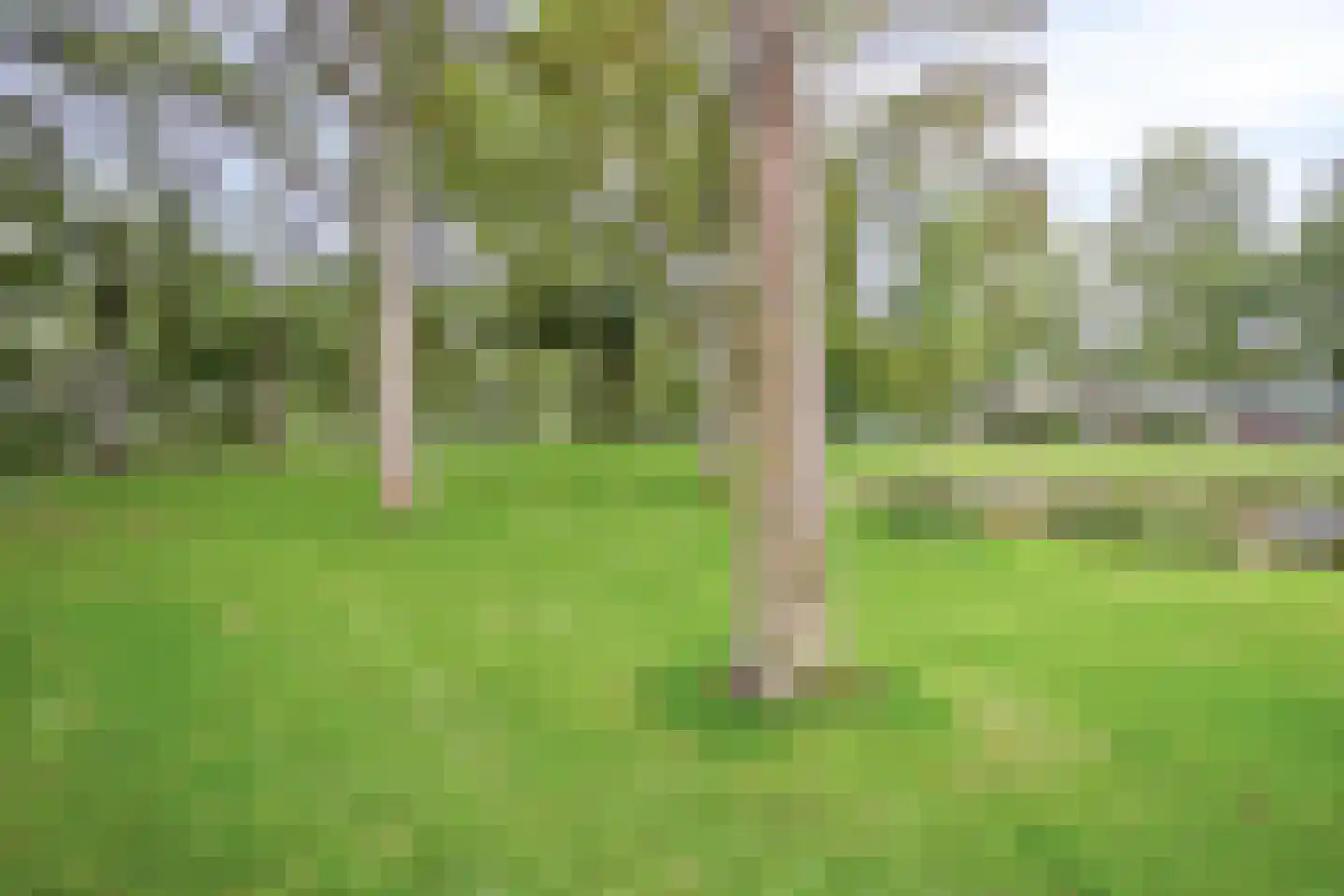Bloemenlaan 83 Rotterdam thumbnail 35