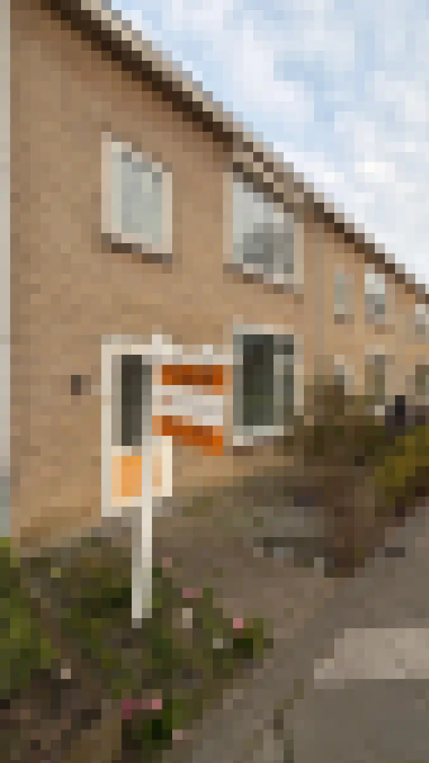Bloemenlaan 93 Vlissingen thumbnail 33