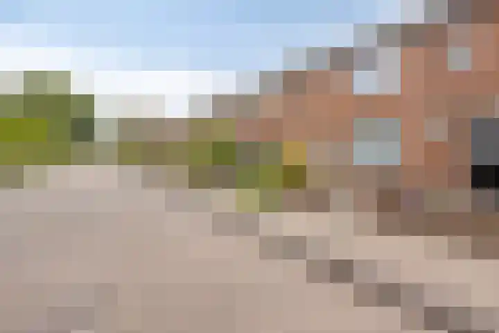 Bloemenoordplein 22 Waalwijk thumbnail 23