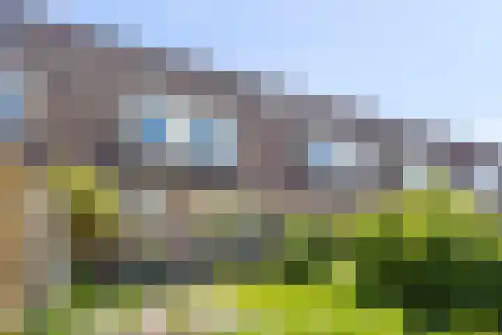 Bloemenschans 114 Voorhout thumbnail 26