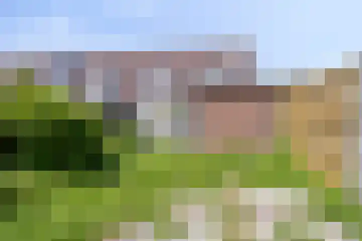 Bloemenschans 114 Voorhout thumbnail 27