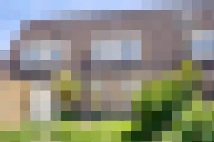 Bloemenschans 114 Voorhout thumbnail 28