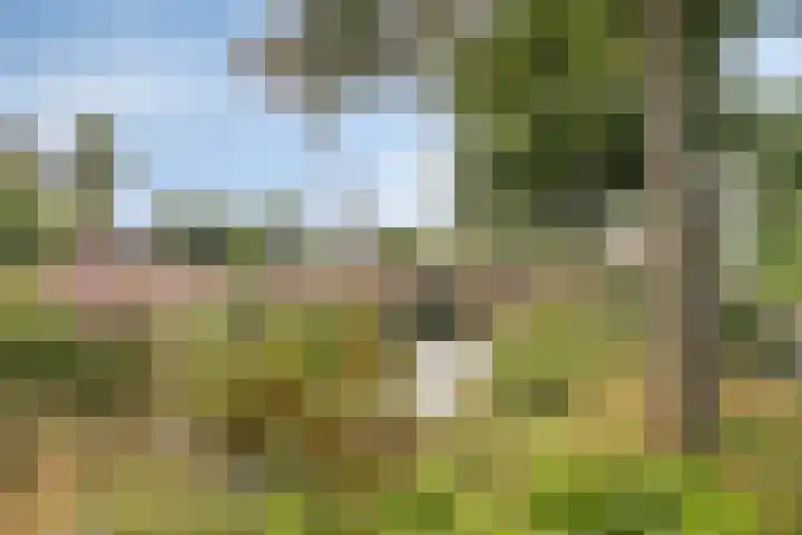 Bloemenschans 114 Voorhout thumbnail 32