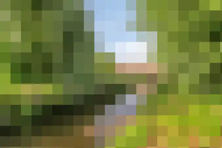 Bloemenschans 114 Voorhout thumbnail 33