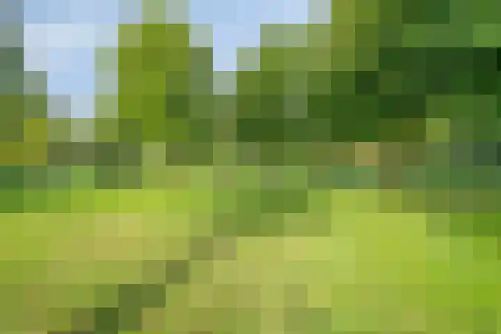 Bloemenschans 114 Voorhout thumbnail 34