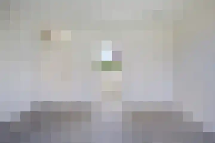 Bloemenschans 114 Voorhout thumbnail 8