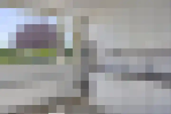 Bloemenschans 114 Voorhout thumbnail 9
