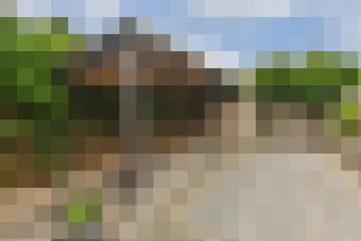 Bloemenschans 17 Voorhout thumbnail 12
