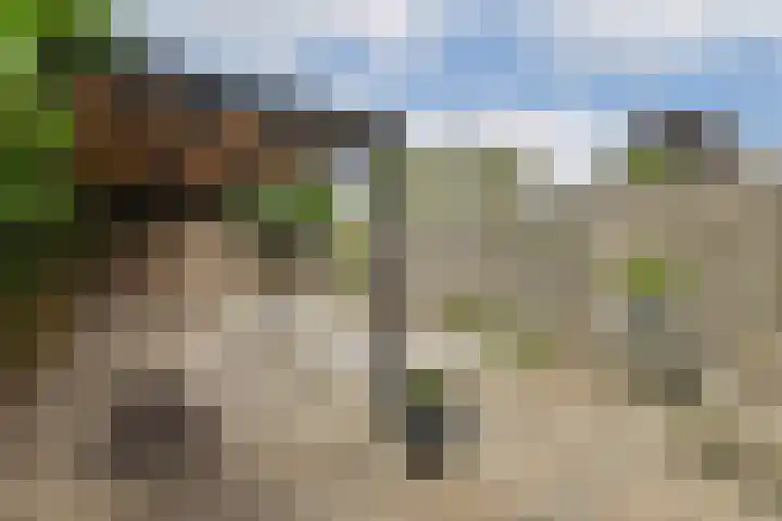 Bloemenschans 17 Voorhout thumbnail 15