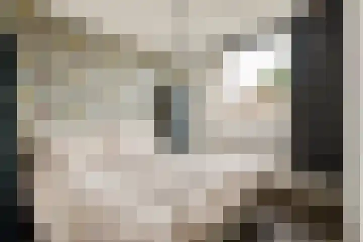 Bloemenschans 17 Voorhout thumbnail 17