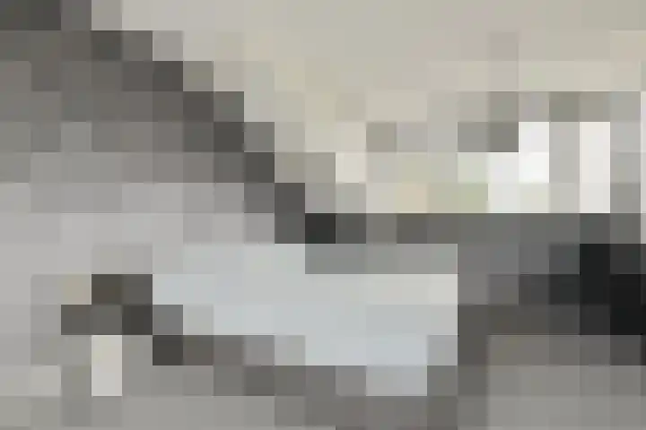 Bloemenschans 17 Voorhout thumbnail 25