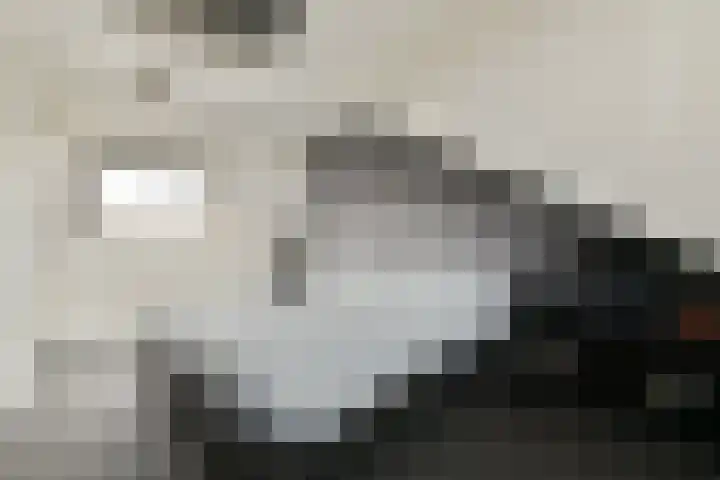 Bloemenschans 17 Voorhout thumbnail 26
