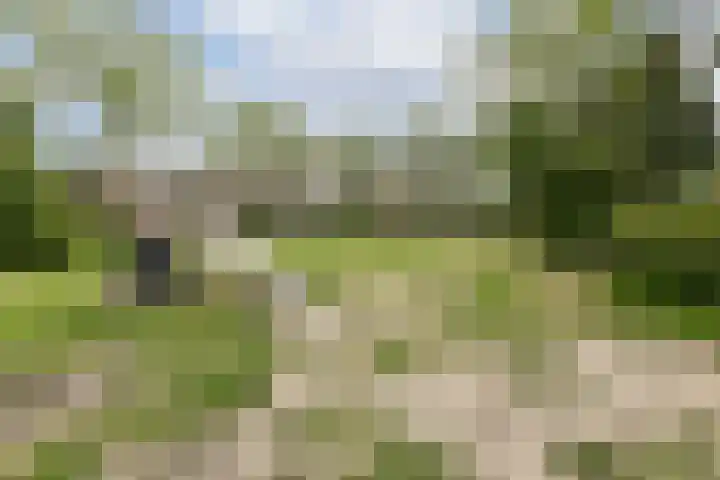 Bloemenschans 17 Voorhout thumbnail 28