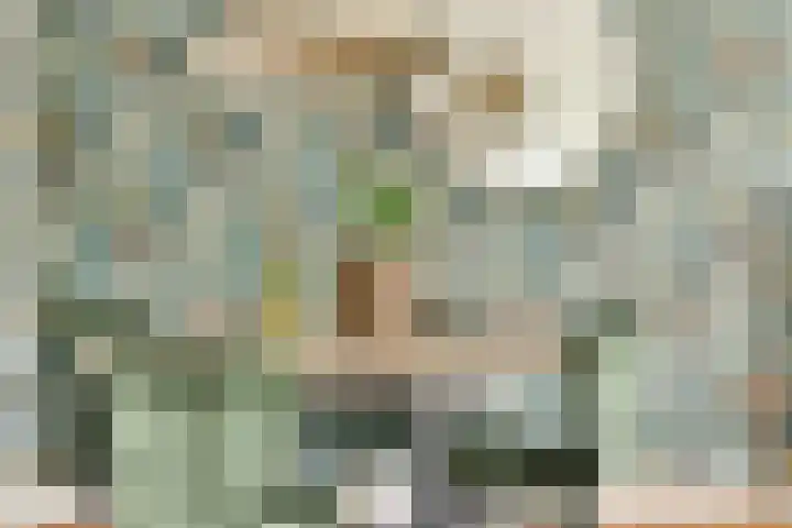 Bloemenschans 17 Voorhout thumbnail 8