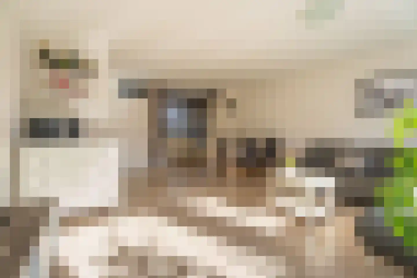 Bloemenschans 18 Voorhout thumbnail 5