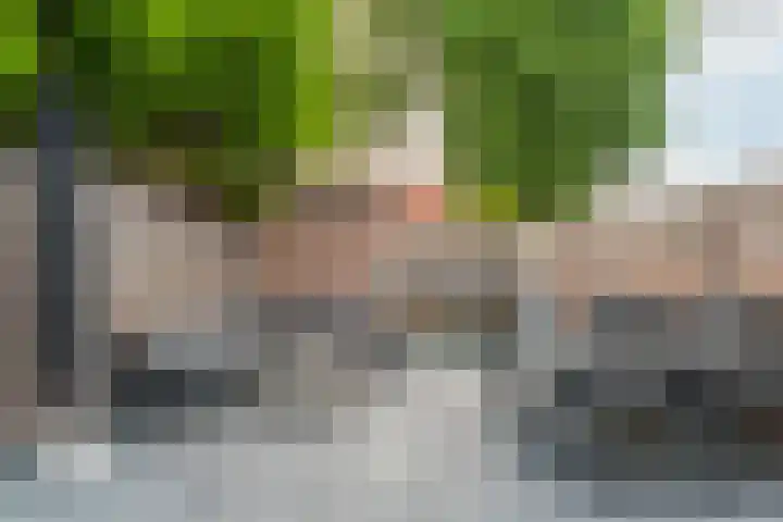 Bloemenschans 42 Voorhout thumbnail 24