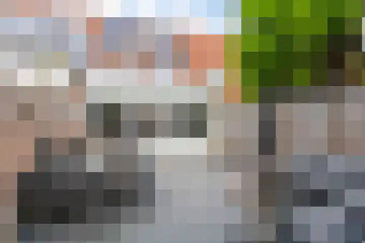 Bloemenschans 42 Voorhout thumbnail 27