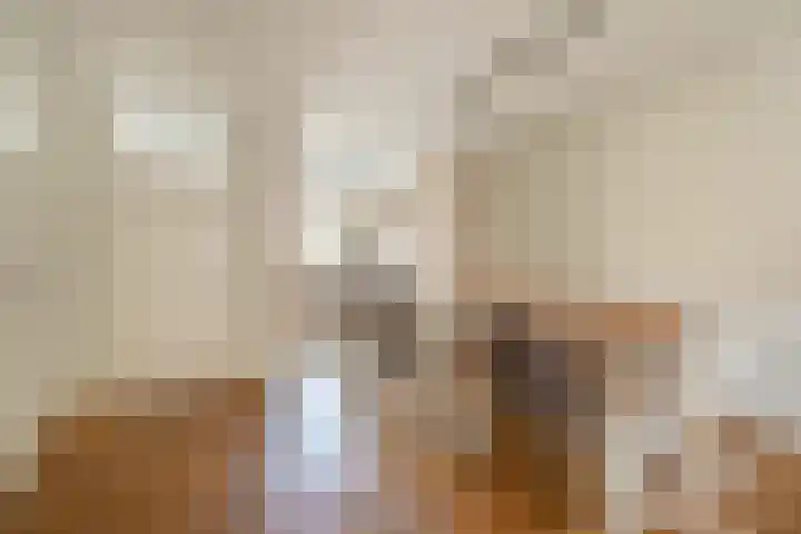 Bloemenschans 42 Voorhout thumbnail 6