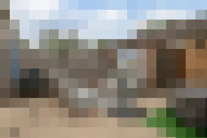 Bloemenschans 65 Voorhout thumbnail 31